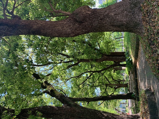 20250509 blog k 001