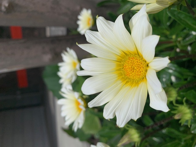 20250509 blog k 018