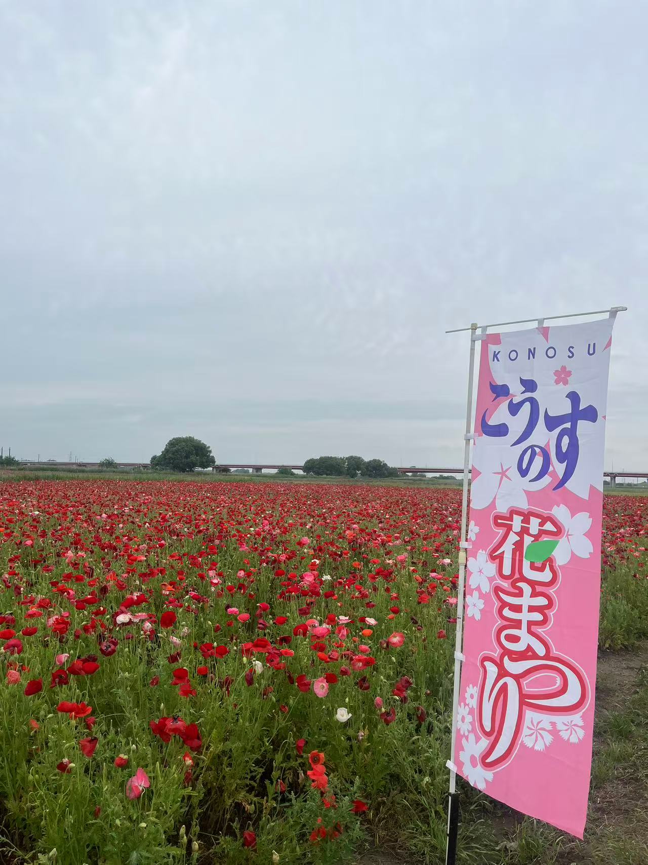 20250530 blog t 001