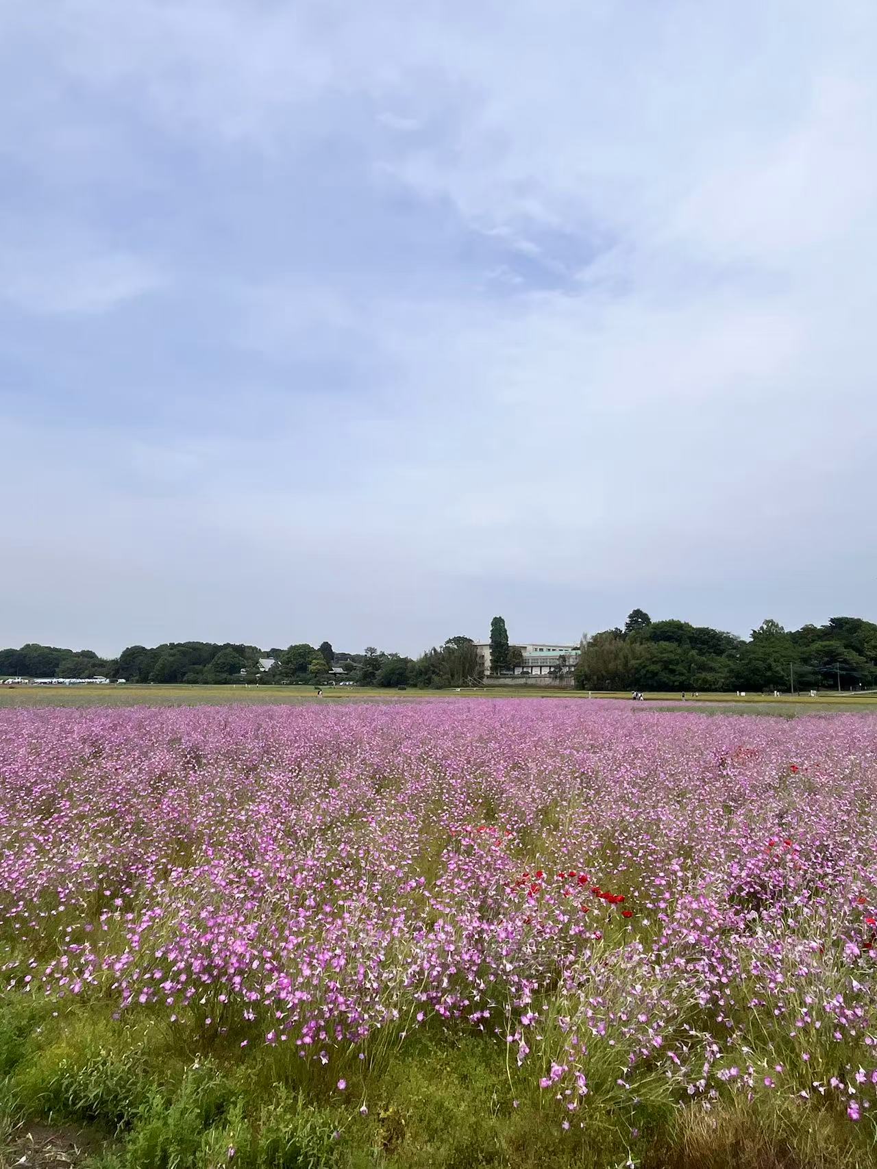 20250530 blog t 003