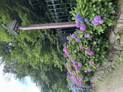 20250620 blog o 001