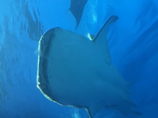 20250725 blog k 006