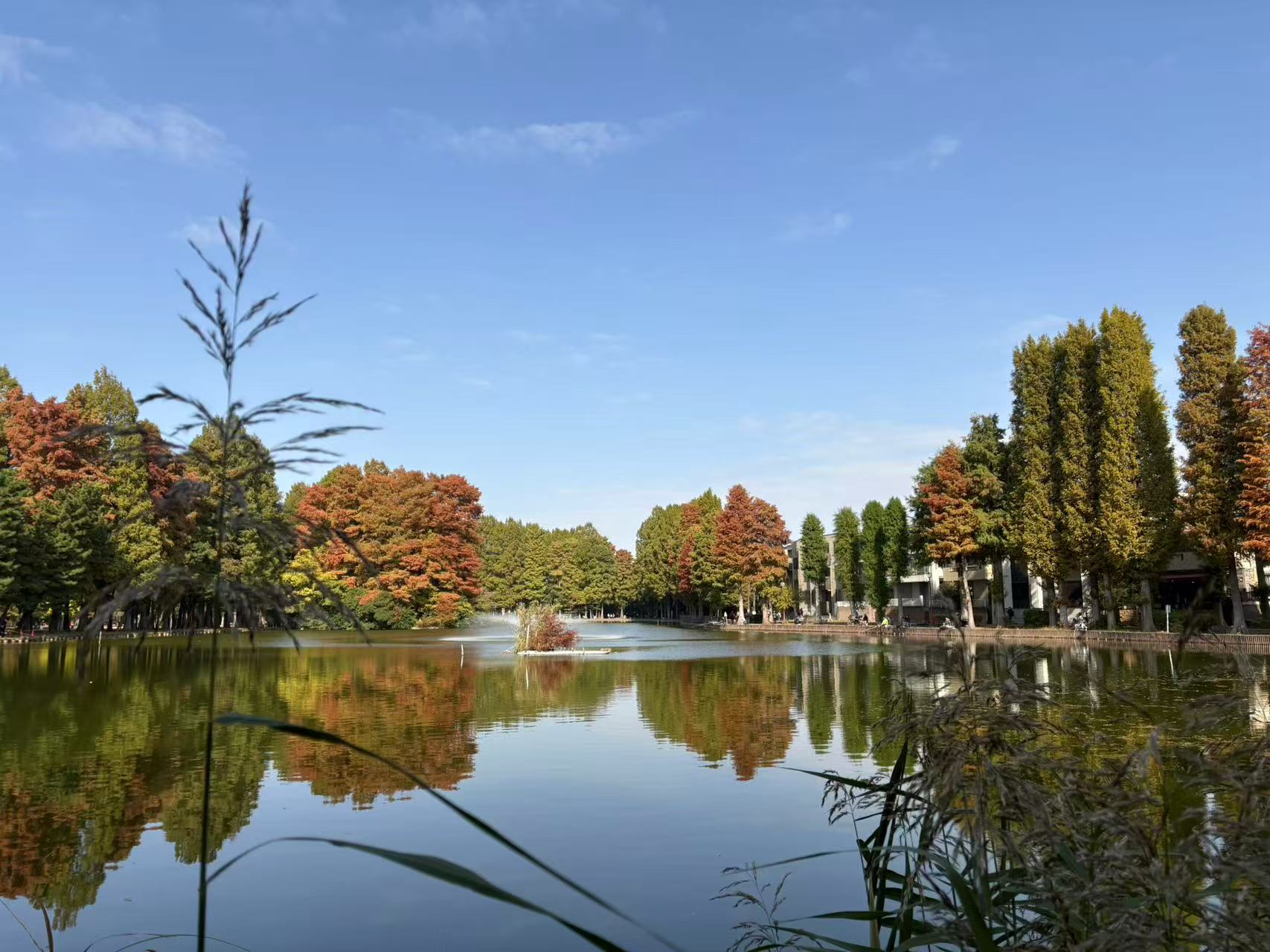 2025251114 blog t 001