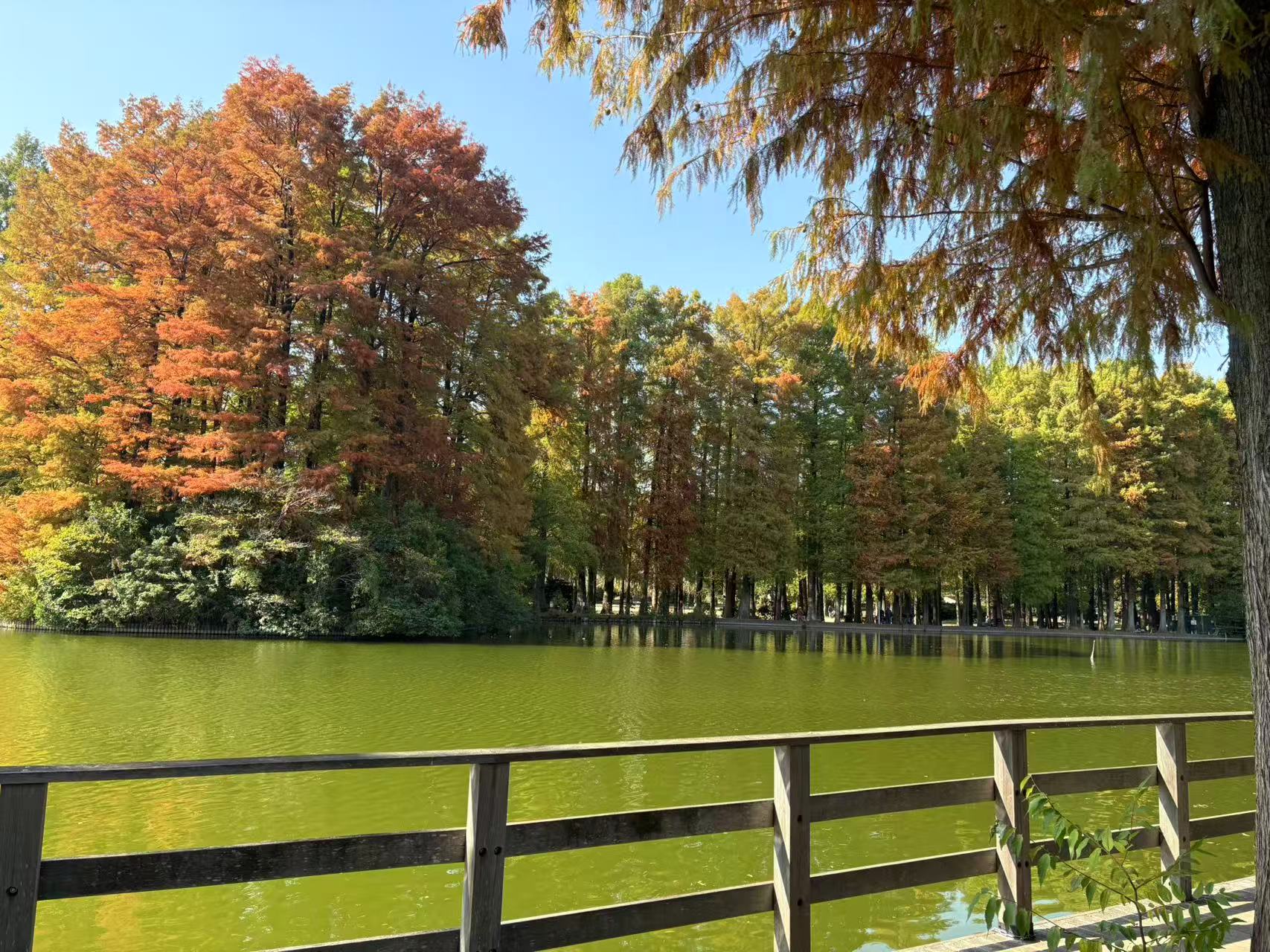 2025251114 blog t 002