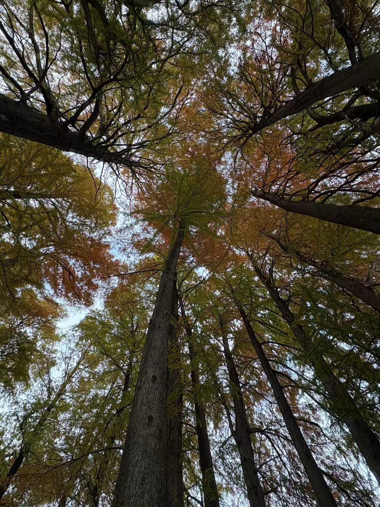 2025251114 blog t 005