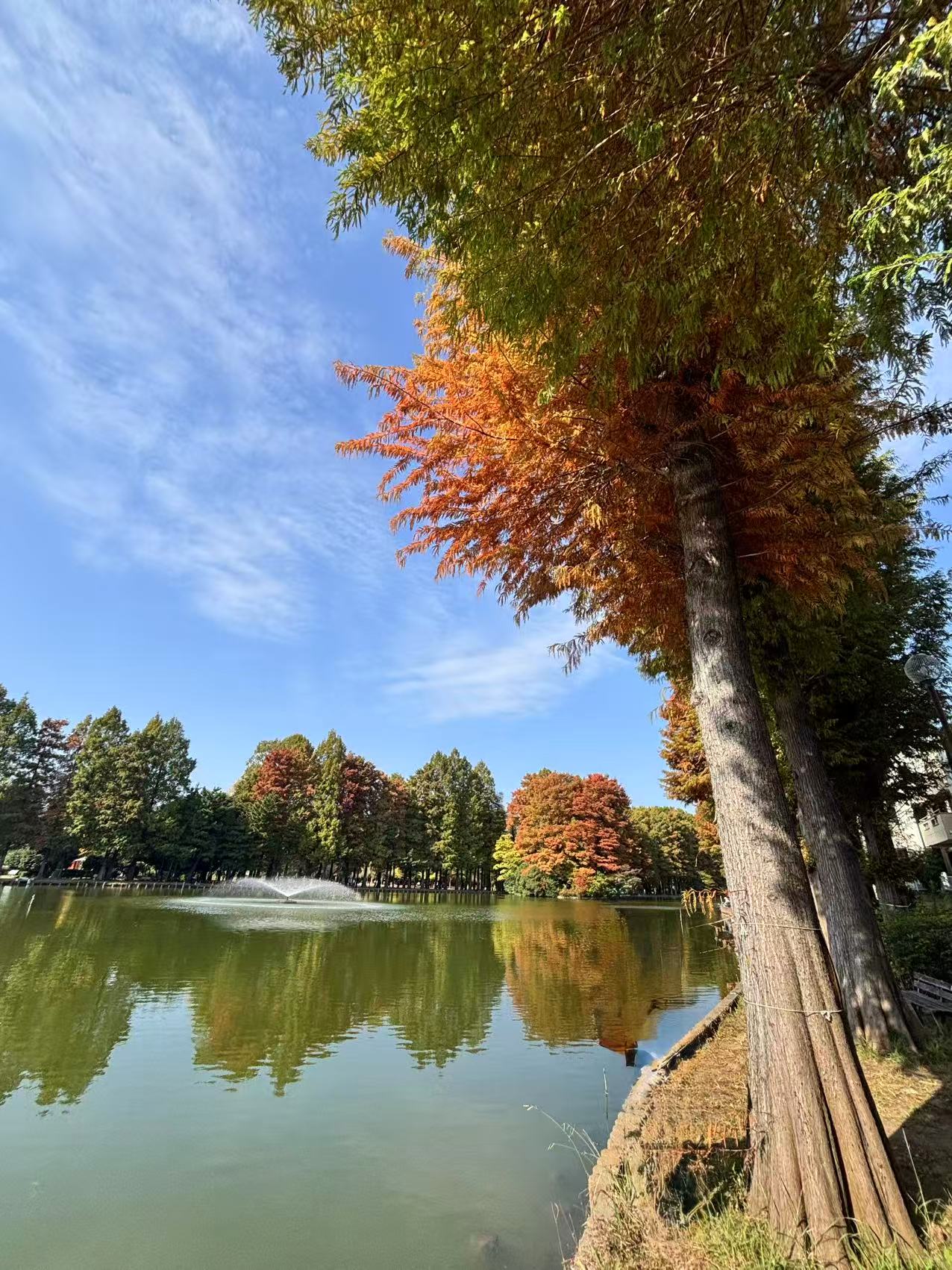 2025251114 blog t 006